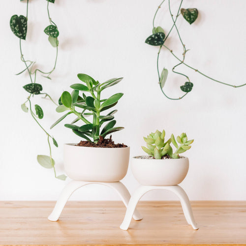 High Rise, Shallow Planters CR22
