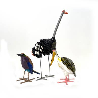Seedpod Pelican