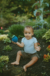 Friendly Plush Blueberry  Rattle