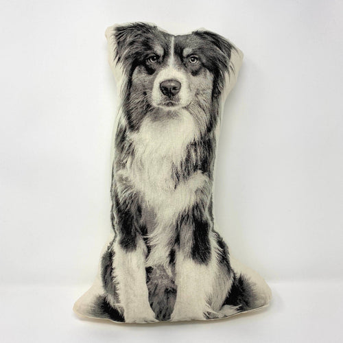Australian Shepherd Pillow