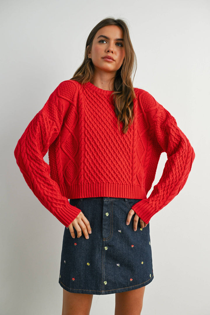 Fall Casual Solid Cable Knit Sweater - BMW719