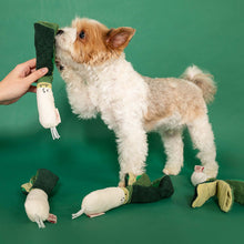 Load image into Gallery viewer, Green Onion Nosework Toy