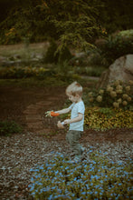 Load image into Gallery viewer, Friendly Plush Carrot Rattle