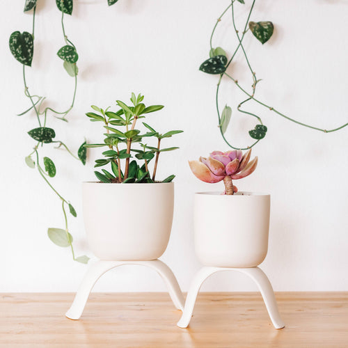 High Rise, Classic Planters CR24