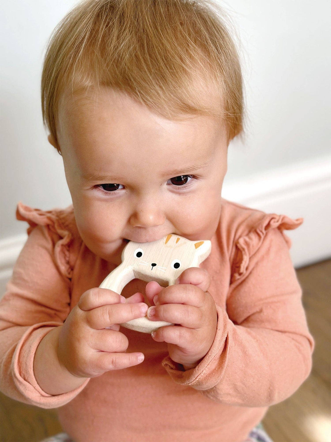 Bird &amp; Kitten Teethers