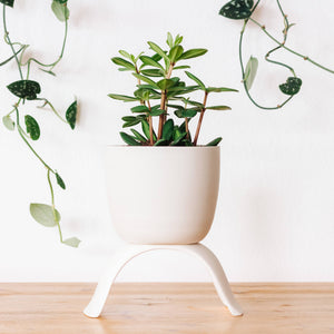 High Rise, Classic Planters CR24
