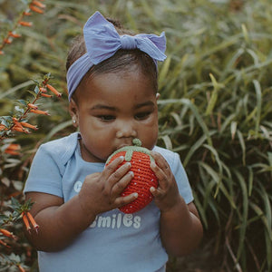 Friendly Plush Strawberry Rattle