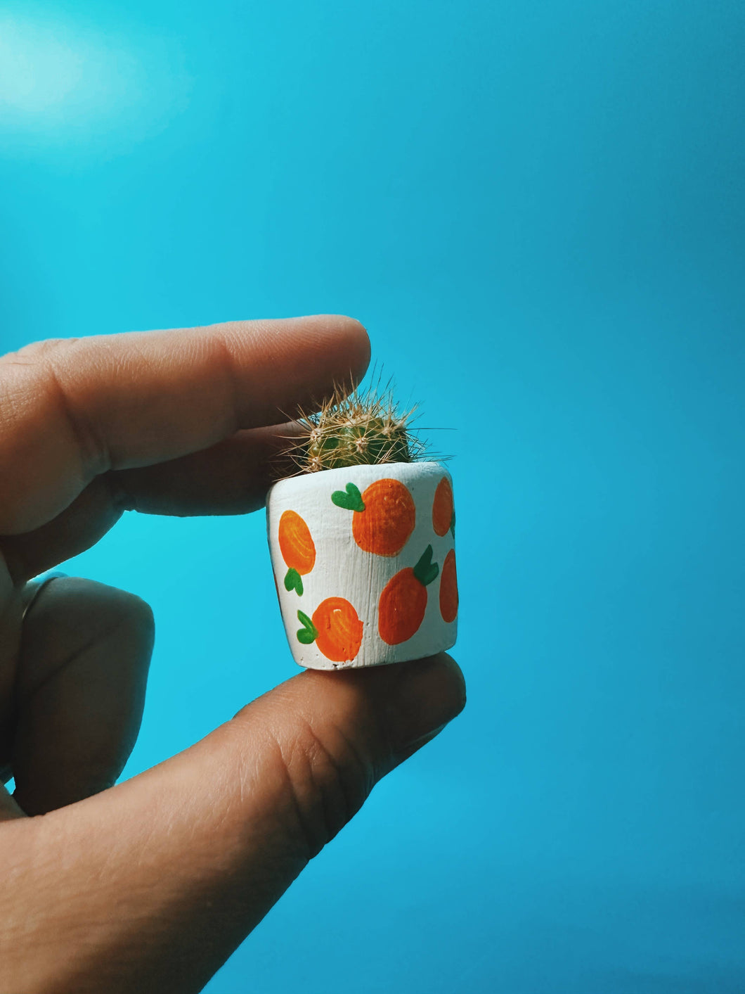Oranges Mini Planter with Plant