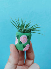 Load image into Gallery viewer, The Sage Rosey Pot