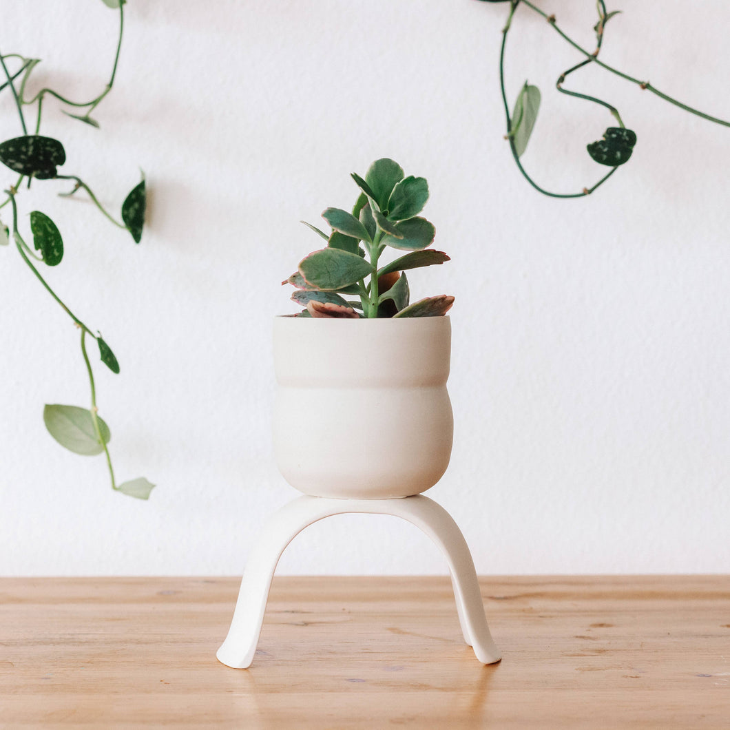 High Rise, Wiggle Planters CR23