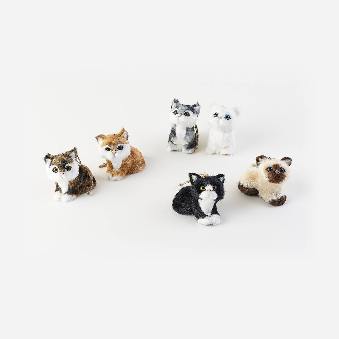 Cat Christmas Ornament, 6 Assorted Designs
