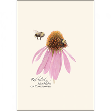 Load image into Gallery viewer, Bumblebee Assortment Notecard Set