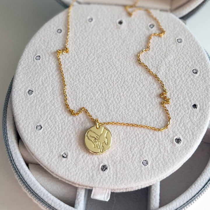 The Darcy Necklace NC231