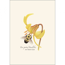 Load image into Gallery viewer, Bumblebee Assortment Notecard Set