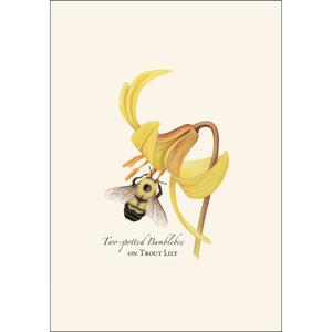 Bumblebee Assortment Notecard Set