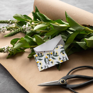 Aster (Flowers) Mini Note Set / Gift Wrap / Midwest Made