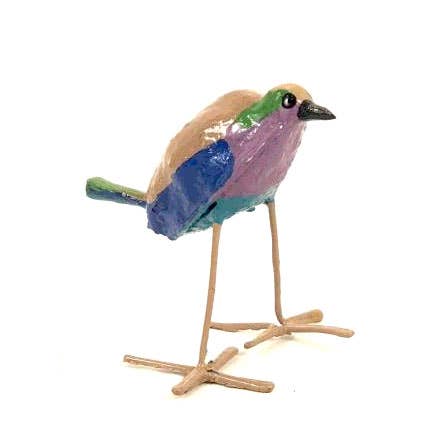 Seedpod Lilac Breasted Roller