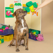 Load image into Gallery viewer, Broccoli Nose Work Toy