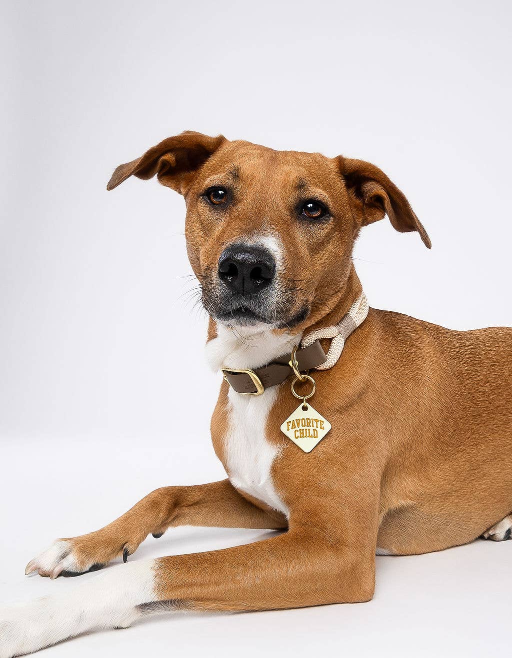 Favorite Child Pet Tag