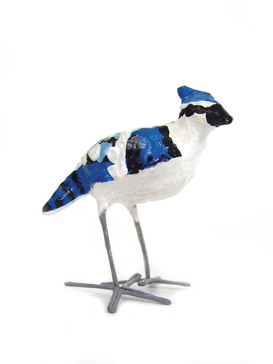 Seedpod Blue Jay