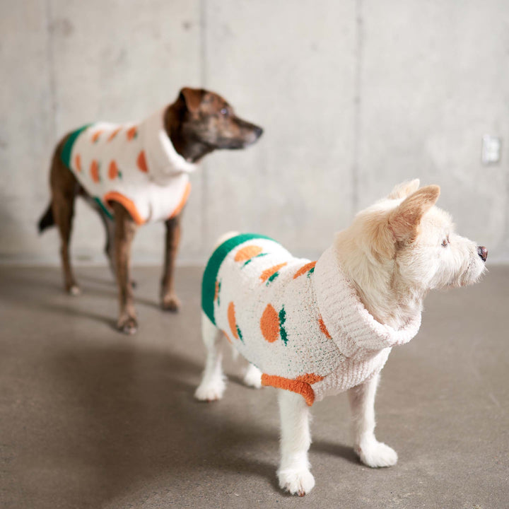 Orange Sweater