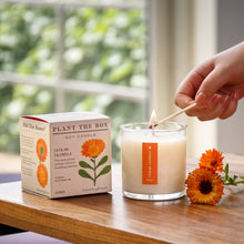 Load image into Gallery viewer, Catalan Calendula - Plant the Box Candle - 9oz.