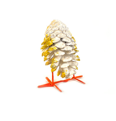 Owl Seedpod Bird