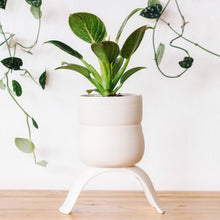 Load image into Gallery viewer, High Rise, Wiggle Planters CR23