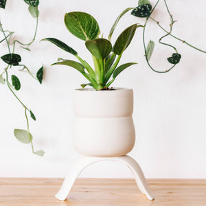 High Rise, Wiggle Planters CR23
