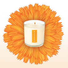 Load image into Gallery viewer, Catalan Calendula - Plant the Box Candle - 9oz.