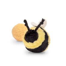 Load image into Gallery viewer, BEE POP