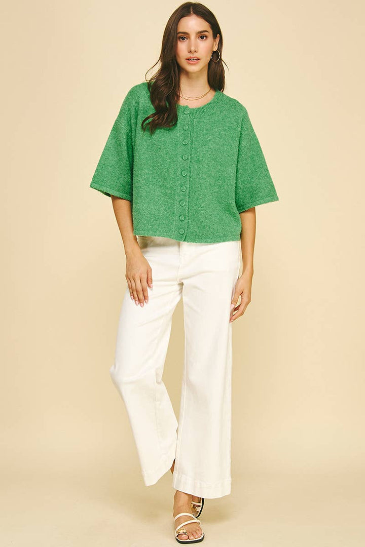 BUTTON DOWN SHORT SLEEVE SWEATER - PN652