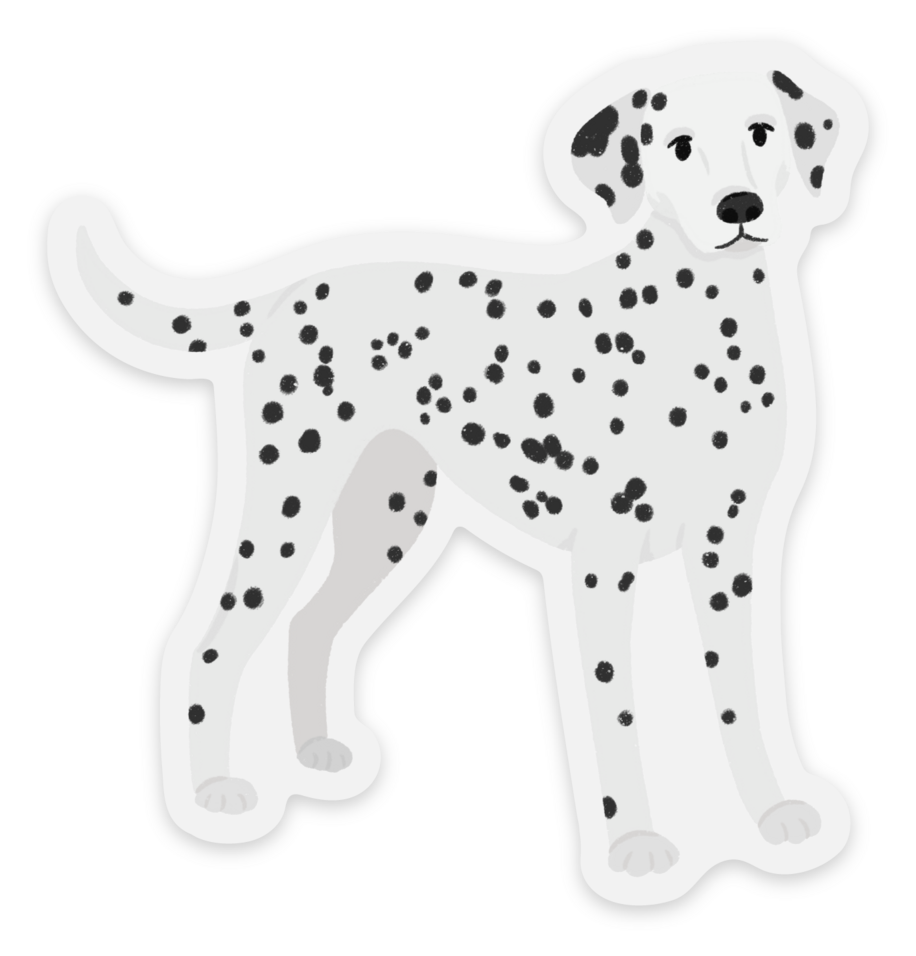 Clear Dalmatian Dog Sticker