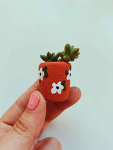 Load image into Gallery viewer, Anemone Baby Planter