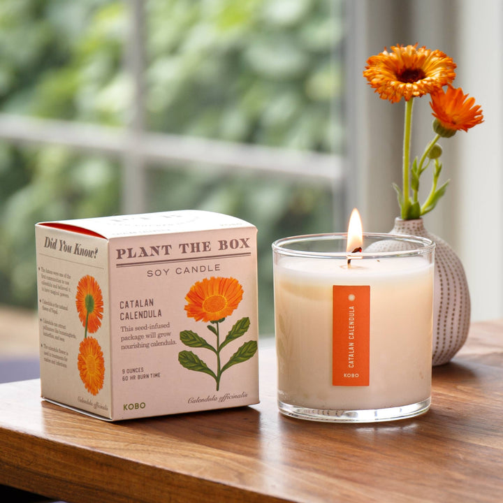 Catalan Calendula - Plant the Box Candle - 9oz.