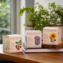 Load image into Gallery viewer, Wild Tomato Vine - Plant the Box Candle - 9oz.