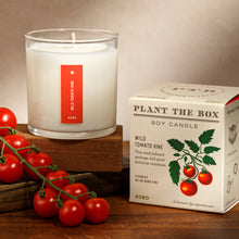 Load image into Gallery viewer, Wild Tomato Vine - Plant the Box Candle - 9oz.