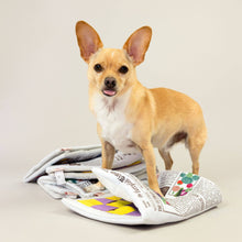 Load image into Gallery viewer, Newspaper Nosework Toy
