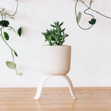 Load image into Gallery viewer, High Rise, Classic Planters CR24