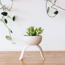 Load image into Gallery viewer, High Rise, Shallow Planters CR22