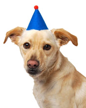Load image into Gallery viewer, Pawty Hat - Blue