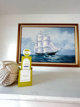 Load image into Gallery viewer, Seaweed &amp; Sea Salt Shower Steamers