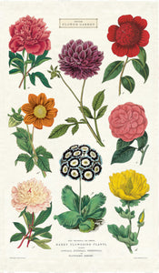 Cavallini tea towel