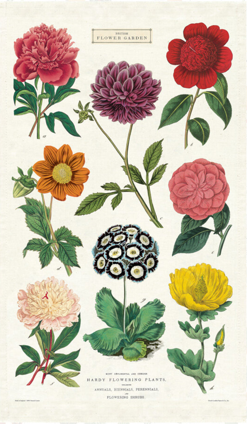 Cavallini tea towel