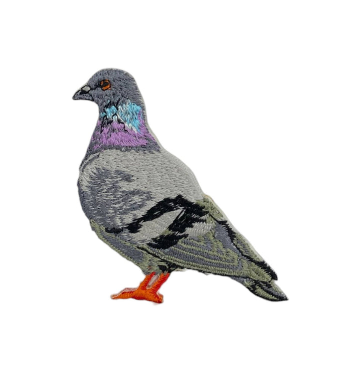 Rock Dove Pigeon, Birds, Iron on Patch IR