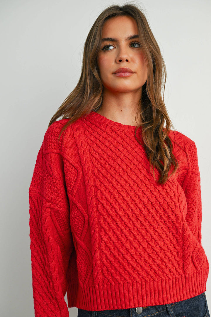Fall Casual Solid Cable Knit Sweater - BMW719