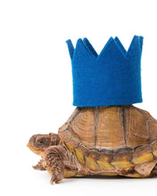 Load image into Gallery viewer, PARTY BEAST CROWN (Options Available)