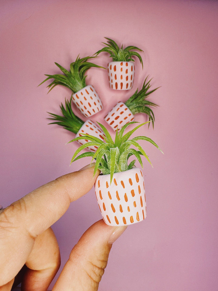 The Minimal Mini Planter