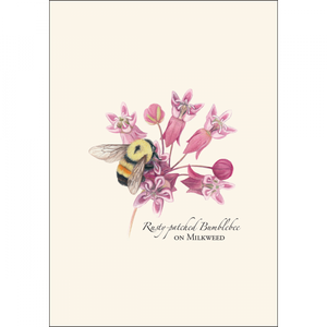 Bumblebee Assortment Notecard Set