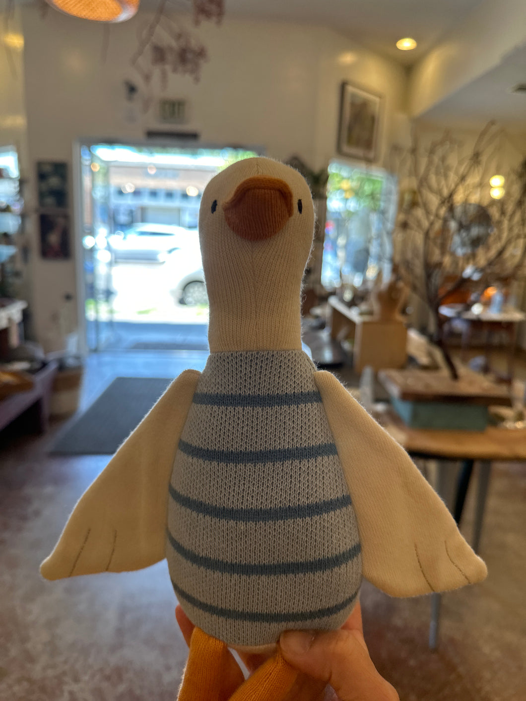 Duck